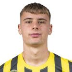 Габріель Відовіч