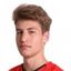 Лука Брлек