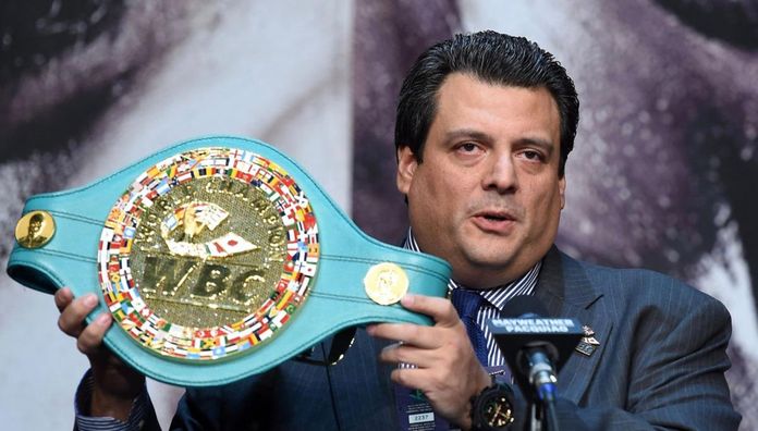 WBC создала специальный чемпионский пояс для Зеленского
