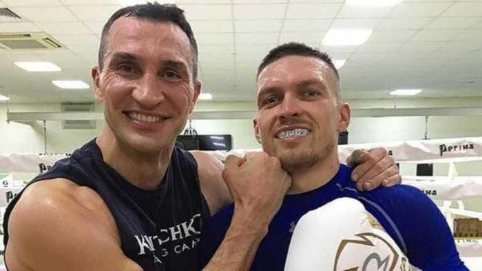 Усик та Кличко-молодший платили солідні гроші за спаринги – британський боксер розкрив суми